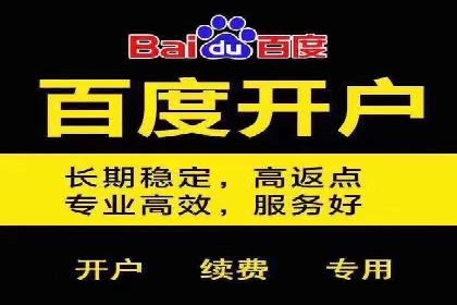 百度推广排名实战：一家小企业的逆袭之路